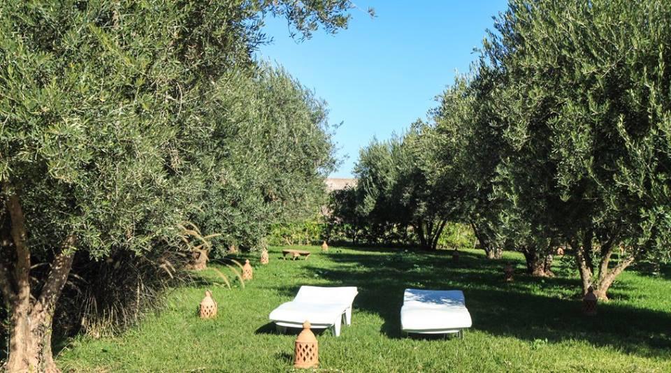 Riad Sidi Hicham Ouled Bouzid Exteriér fotografie