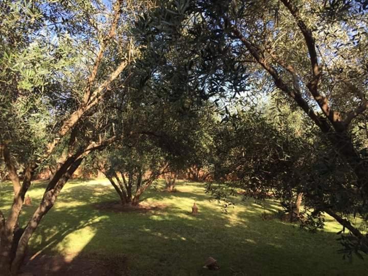 Riad Sidi Hicham Ouled Bouzid Exteriér fotografie